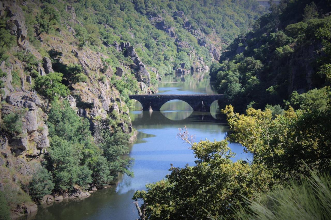 Quinta Da Rocha 1875 Βίλα Pedrógão Pequeno Εξωτερικό φωτογραφία